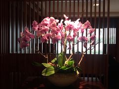 -太鲁阁晶英酒店-梅园中餐厅