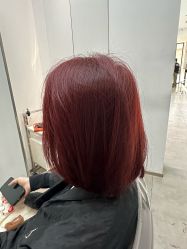 -天使之手