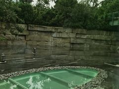 -外滩悦榕庄·海怡西餐厅
