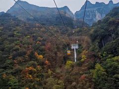 -秦岭天竺山生态文化旅游景区