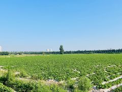 -汉长安城未央宫国家考古遗址公园