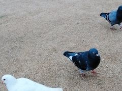 -玄武湖景区-情侣园游乐场