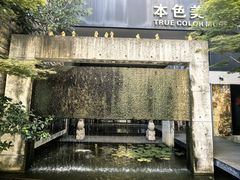 -苏州本色美术馆