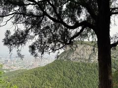 -佛慧山