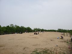 -东郊湿地公园