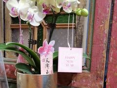 -西关84·History·Art·Cafe