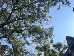 -乡党臊子面(丰庆公园店)