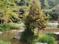-刘伯温故里景区百丈漈
