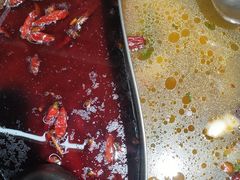 -金鼎雪山牦牛杂火锅(理县总店)