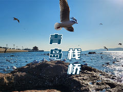 -栈桥景区