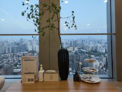 -POCO宝珂丽科技美肤