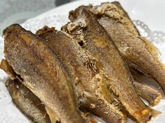 -熠盛粤味·顺德桑拿鸡(永康路店)