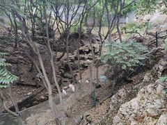 -大连老虎滩海洋公园