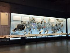 -浙江自然博物院(杭州馆)