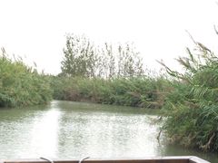 -泗洪洪泽湖湿地景区