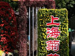 -上海共青森林公园