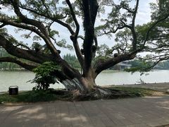 -江心屿景区