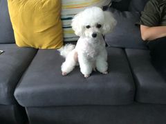 -MOLLY'S萌宠生活馆