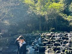 -石台牯牛降景区