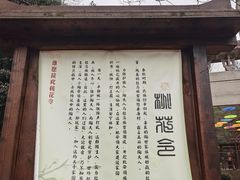 -常德桃花源景区