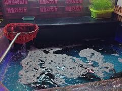 -山河屯铁锅炖鲜鹅·东北菜(开发区一店)