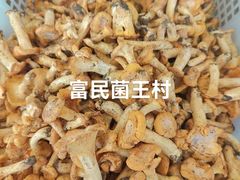 -野生菌火锅(菌王村店)