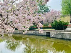-海棠花溪(元大都城垣遗址公园)