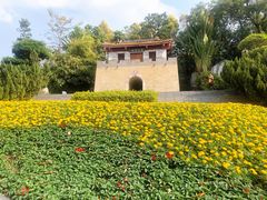 -深圳国际园林花卉博览园