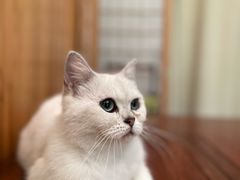 -谷咖啡·鲜花绿植花园餐厅