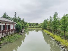 -柳鹭田园区