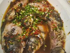 -古蔺郑胖娃(泸州总店)