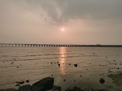 -宝安西湾红树林湿地公园