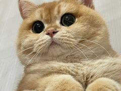 -荔康动物医院(康王北路店)