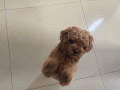 -巧手推拿中心(盲人推拿)