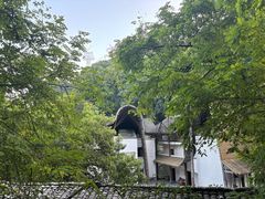 -巴倒烫陆派火锅山庄(南山总店)