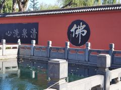 -百脉泉景区