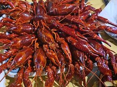 -小田油焖小龙虾(双井店)