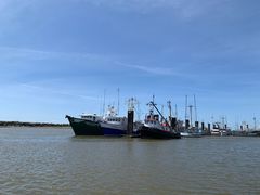 -Steveston Pizza Company (Richmond)