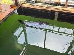 -蓝湾碧波·老字号·疍家非遗海上餐厅