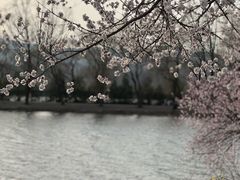 -颐和园