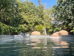 -天目湖御水温泉·度假酒店