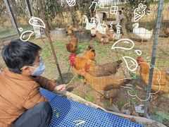 -小鱼草莓采摘园农家乐·小鱼餐厅