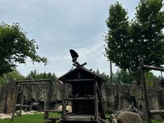 -上海野生动物园