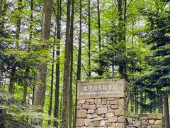 -莫干山风景区