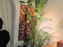 -沐森 •疗愈头疗馆(打浦桥店)