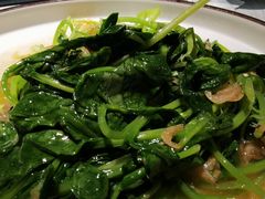 蒜蓉鸡毛菜-雲蜀龙阁·金牌水煮鱼(方庄店)