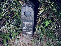 -梧桐山风景名胜区