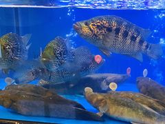 -盒马鲜生(皇庭广场店)