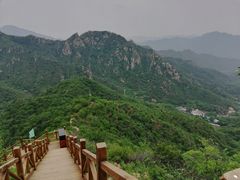 -大岭沟猕猴桃谷风景区