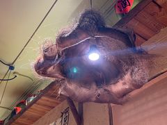 -泥糊破店小酒馆·团建聚餐(南京西路店)